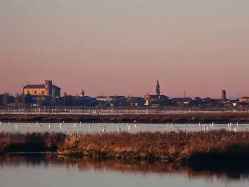 Passeggiata d’inverno nelle Valli di Comacchio